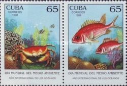 Longjaw Squirrelfish (Holocentrus adscensionis)