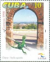 Cuban Knight Anole (Anolis equestris)