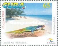 Allison'S Anole (Anolis allisoni)