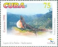 Pinardel Rio Anole (Anolis mestrei)