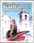Eastern Black Swallowtail (Papilio polyxenes), Havana Cathed