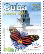 Isabella's Longwing (Eueides cleobaea), Capitol