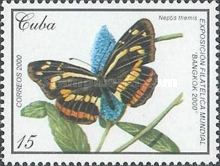 Sailer (Neptis themis)