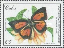 Angled Sunbeam (Curetis acuta)