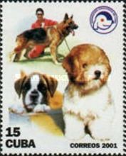 Dogs (Canis lupus familiaris)