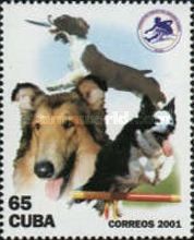 Dogs (Canis lupus familiaris)