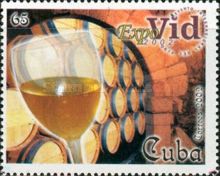 Wine Glass and Barrels