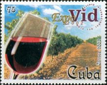 Wine glass and vineyard