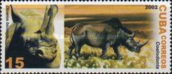 Black Rhinoceros (Diceros bicornis), Woolly Rhinoceros (Coel