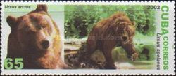 Brown Bear (Ursus arctos), Cave Bear (Ursus spelaeus)