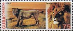 Saber-toothed Tiger (Smilodon), Lion (Panthera leo)