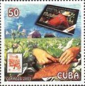 Tobacco farmer