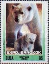 Polar Bear (Ursus maritimus)
