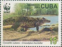 Cuban Crocodile (Crocodylus rhombifer)