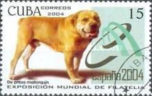 Perro de Presa Mallorquín (Canis lupus familiaris)