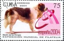 Pyrenean Mastiff (Canis lupus familiaris)