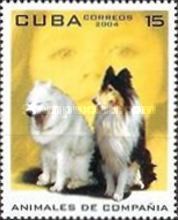 Dogs (Canis lupus familiaris)