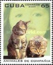 Cats (Felis silvestris catus)