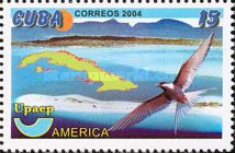 Arctic Tern (Sterna paradisaea), Coastline, Outline Map of C