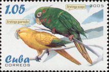 Golden Parakeet (Aratinga guarouba)