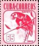 Cuban Parakeet (Aratinga euops)