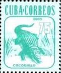 Cuban Crocodile (Crocodylus rhombifer)