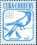 Cuban Emerald (Riccordia ricordii)