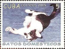 Domestic Cat (Felis silvestris catus) rolling on the Carpet