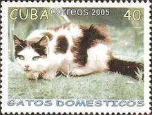 Domestic Cat (Felis silvestris catus) lurks