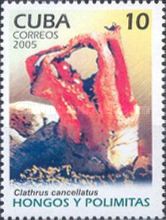 Clathrus cancellatus