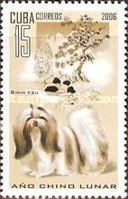 Shih Tzu (Canis lupus familiaris)