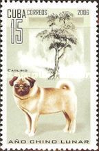 Pug (Canis lupus familiaris)