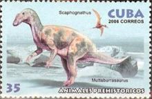Muttaburrasaurus, Scaphognathus