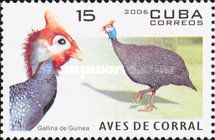 Helmeted Guineafowl (Numida meleagris)