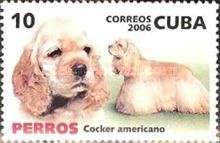 American Cocker Spaniel (Canis lupus familiaris)