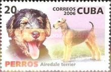 Airedale Terrier (Canis lupus familiaris)