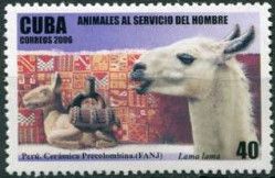 Llama (Lama glama)