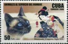 Domestic Cat (Felis silvestris catus)