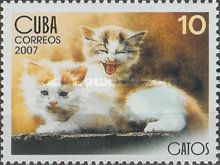 Two Kittens