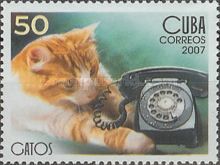 Cat with Telephone