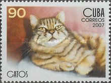 Silver Tabby