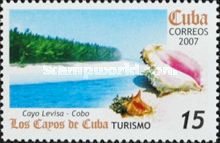 Sea Snails, Cayo Levisa