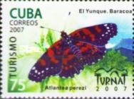 Cuban Checkerspot (Atlantea perezi)