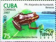 Monte Iberia Eleuth (Eleutherodactylus iberia)