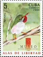 Cuban Tody (Todus multicolor)