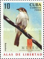 Common Nightingale (Luscinia megarhynchos)