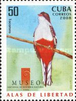 Cuban Trogon (Priotelus temnurus)