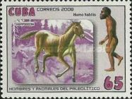 Hippidion, Homo habilis