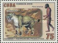 Megantereon, Homo erectus