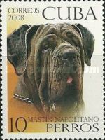 Neapolitan Mastiff (Canis lupus familiaris)
